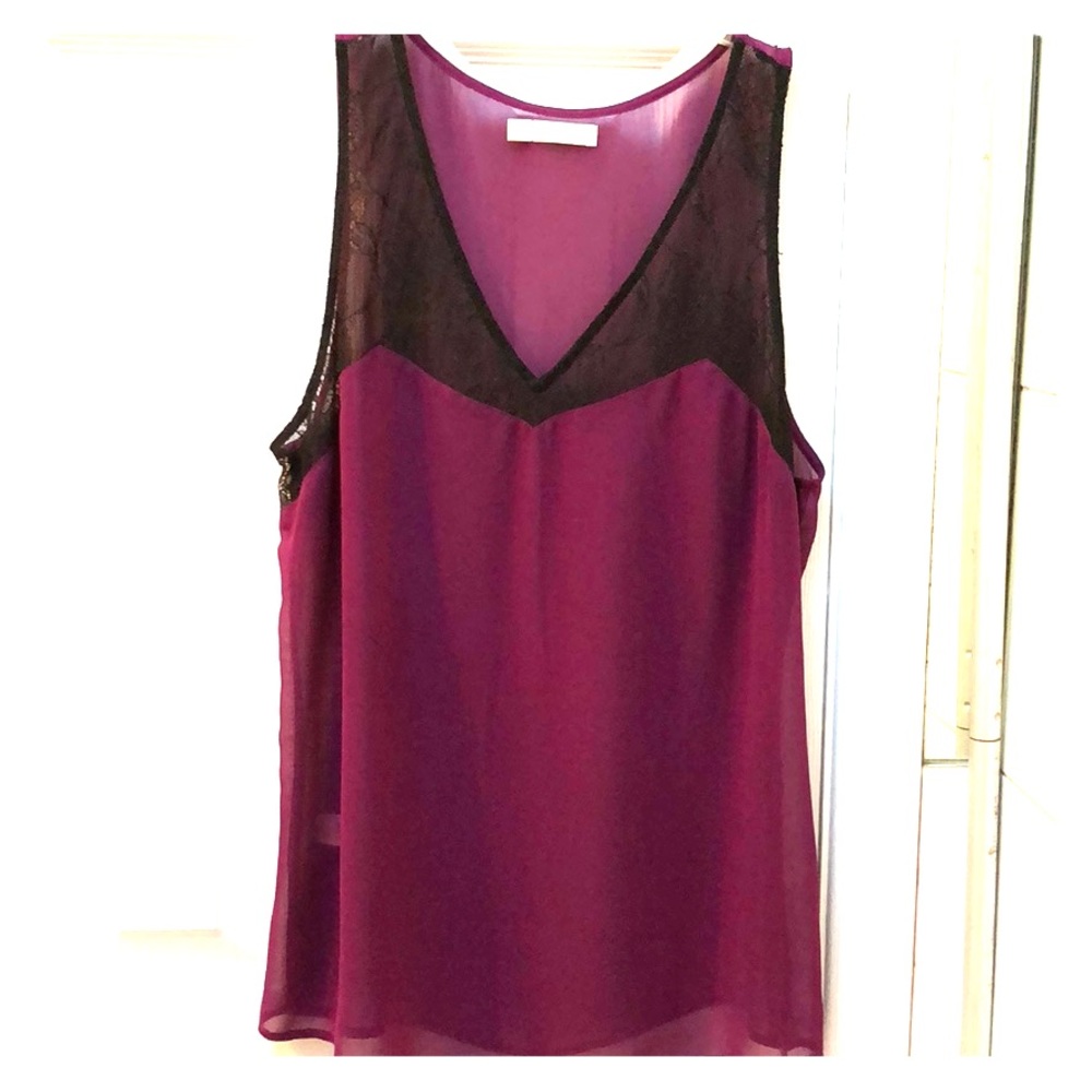 Hinge Purple Sheer and Lace Trimmed Blouse